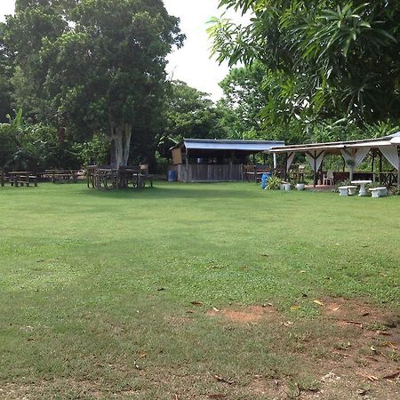Chillax On Our Farm Pension Ocho Rios Buitenkant foto