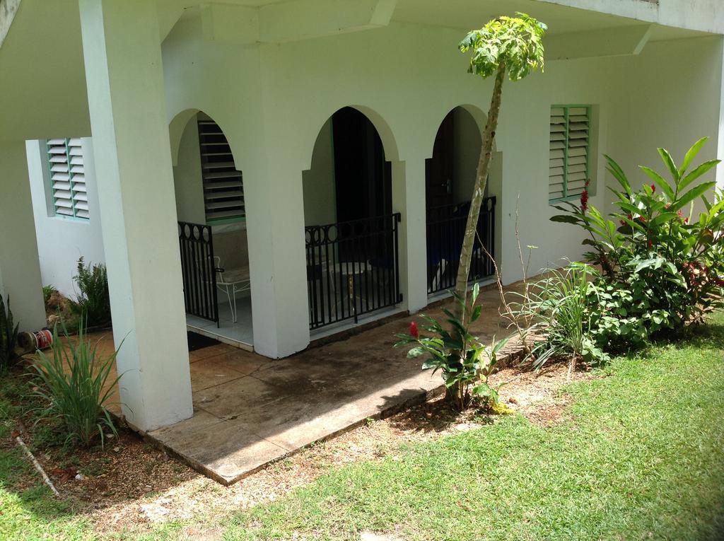 Chillax On Our Farm Pension Ocho Rios Buitenkant foto