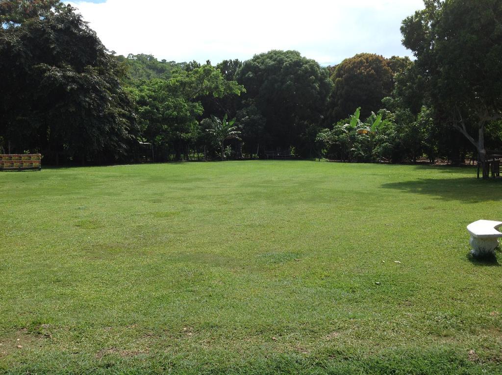 Chillax On Our Farm Pension Ocho Rios Buitenkant foto
