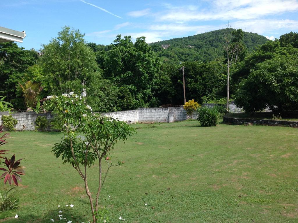 Chillax On Our Farm Pension Ocho Rios Buitenkant foto