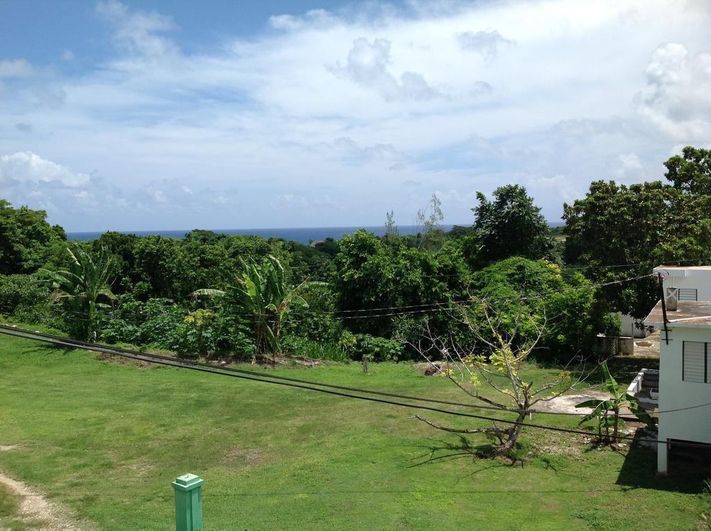 Chillax On Our Farm Pension Ocho Rios Buitenkant foto
