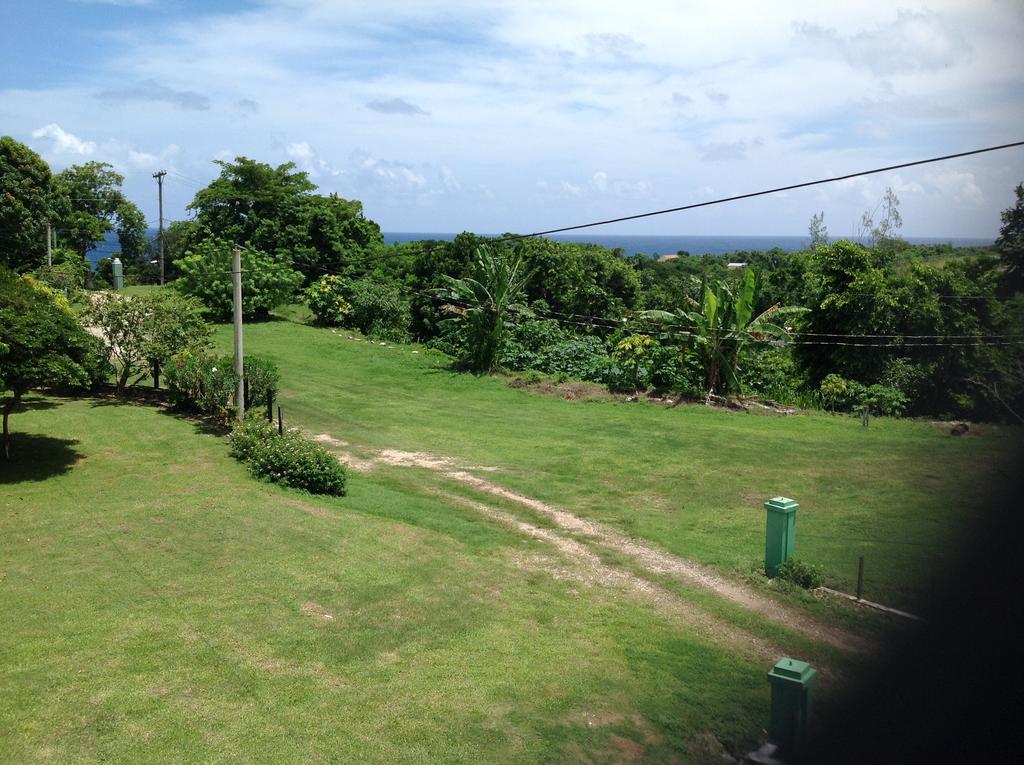 Chillax On Our Farm Pension Ocho Rios Buitenkant foto