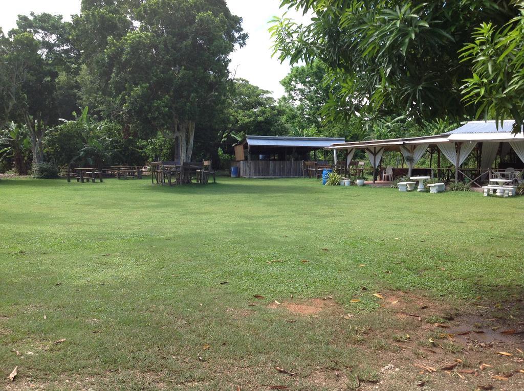 Chillax On Our Farm Pension Ocho Rios Buitenkant foto